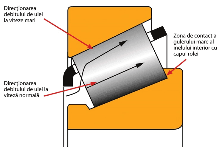 Article Thumbnail Image