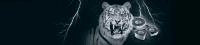 Article Thumbnail Image