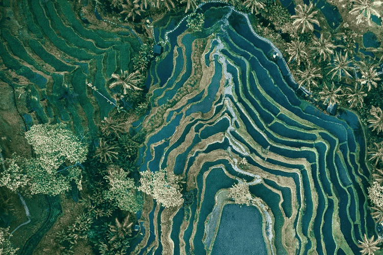 Article Thumbnail Image