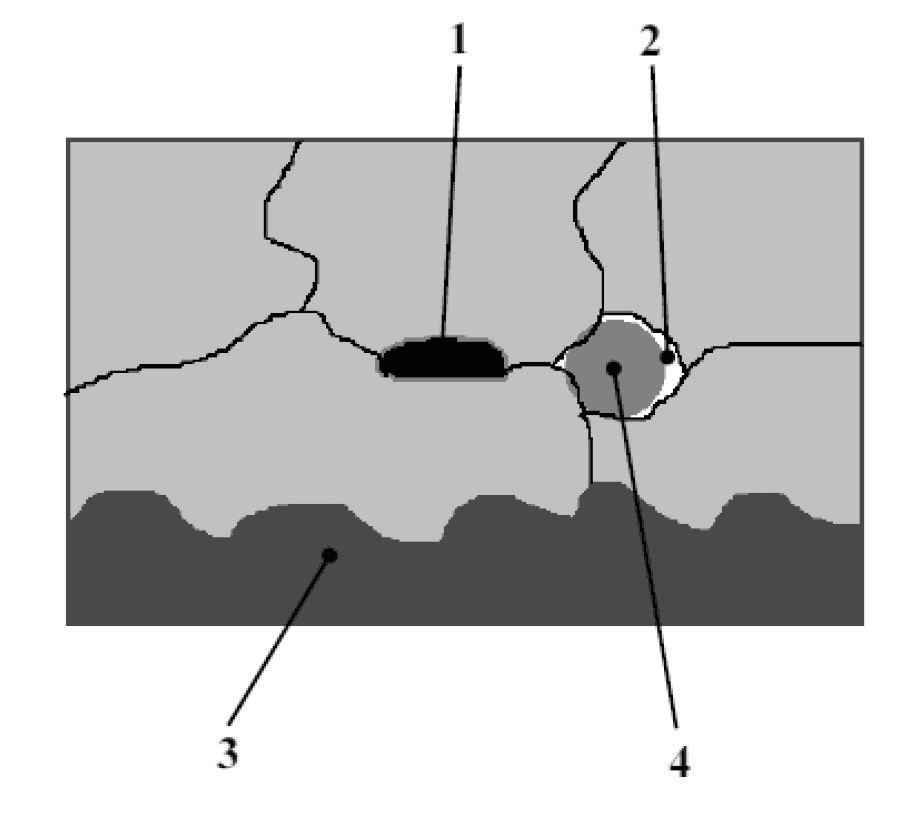 Article Thumbnail Image