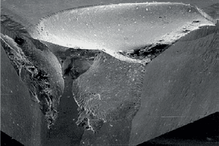 Article Thumbnail Image