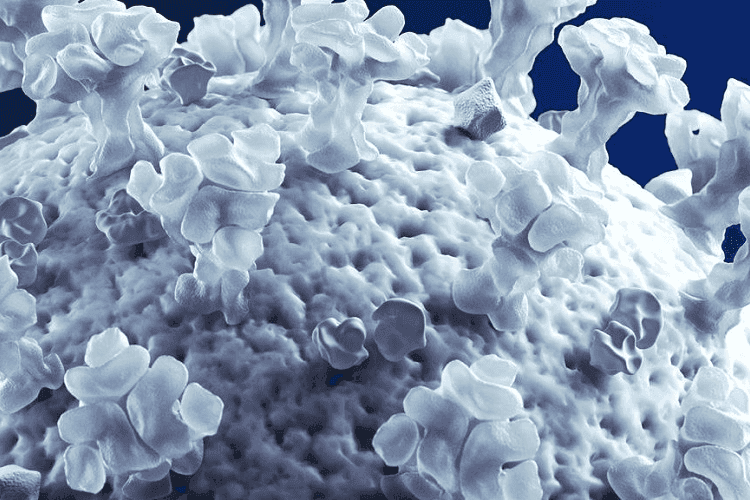 Article Thumbnail Image