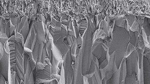 Article Thumbnail Image