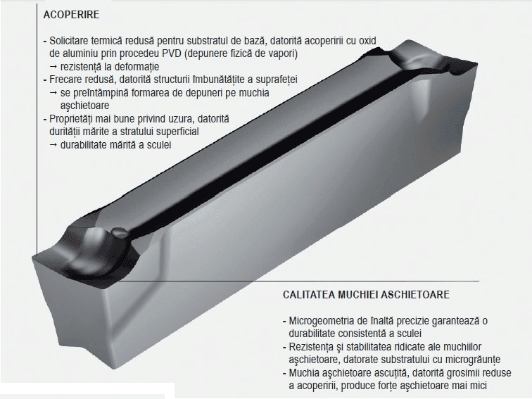 Article Thumbnail Image